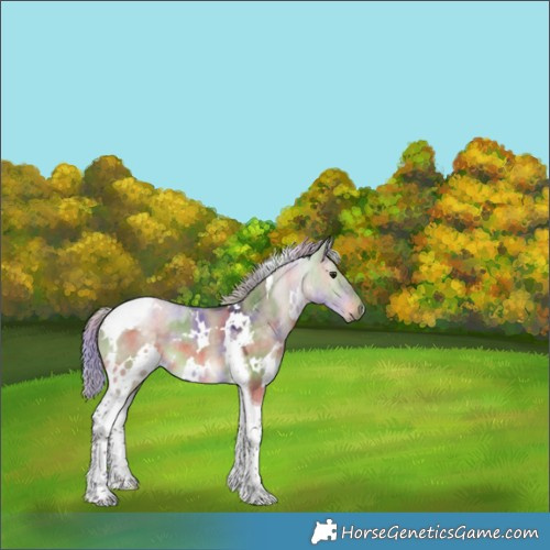 Horse Color:Nacre White Spotted Silver Brown Dun Tobiano Rabicano 
