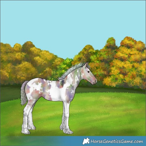 Horse Color:Nacre White Spotted Silver Brown Dun Tobiano 