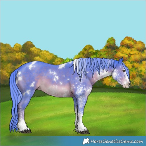 Horse Color:Watercolor White Spotted Liver Chestnut Mushroom 