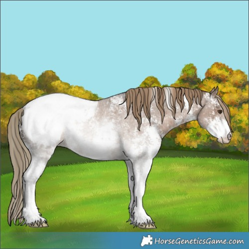 Horse Color:Liver Red Dun Roan Sabino Appaloosa Rabicano 