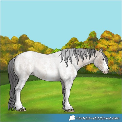 Horse Color:Brown Roan Dun Sabino Snowflake Varnish 
