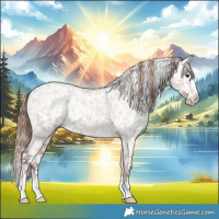 Horse Color:Red Dun Roan Snowflake Varnish 