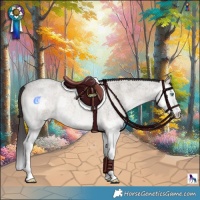 Horse Color:Smoky Grullo Roan Onyx Splash