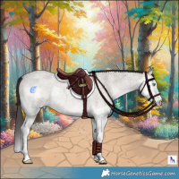 Horse Color:Smoky Grullo Roan Onyx Splash 