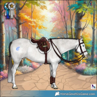 Horse Color:Smoky Grullo Roan Onyx Splash 