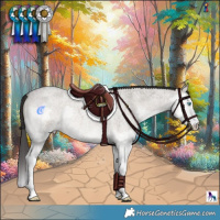 Horse Color:Smoky Grullo Roan Onyx Splash