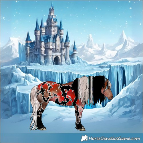 Horse Color:White Spotted Silver Brown