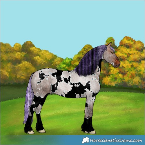 Horse Color:Painted White Spotted Silver Brown Ice 