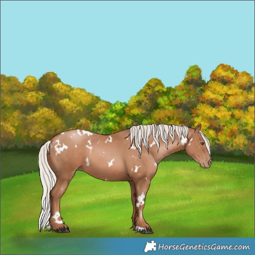 Horse Color:White Spotted Silver Black Pearl 