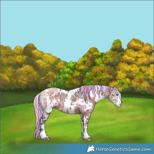 Horse Color:Painted White Spotted Silver Brown Ice 