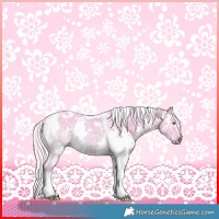 Horse Color:Watercolor White Spotted Silver Bay Chinchilla Ice Tobiano 