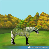 Horse Color:Watercolor Silver Black Ice Sabino Rabicano 
