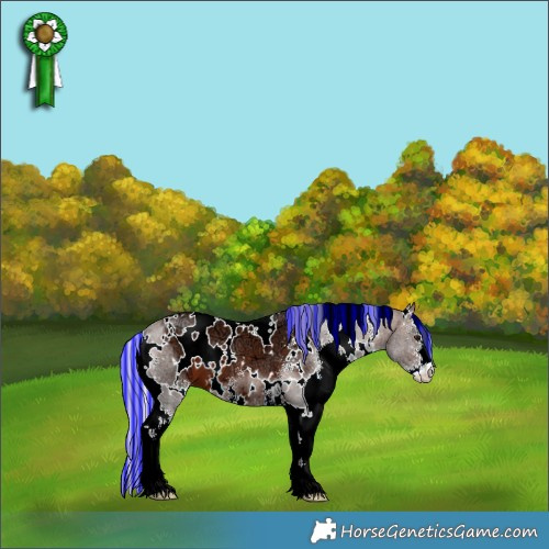 Horse Color:Painted White Spotted Silver Brown Ice Sabino 