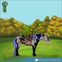 Horse Color:Painted White Spotted Silver Brown Ice Sabino 