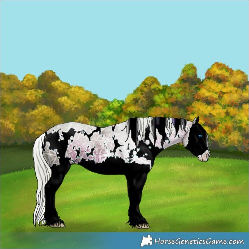 Horse Color:Watercolor White Spotted Silver Brown Ice Sabino Splash 