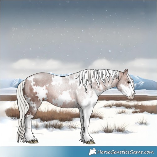 Horse Color:White Spotted Silver Brown Sabino 