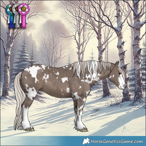 Horse Color:White Spotted Silver Black 