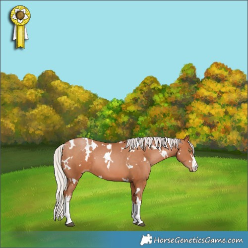 Horse Color:White Spotted Silver Brown Pearl 