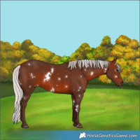 Horse Color:White Spotted Silver Brown 