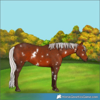 Horse Color:White Spotted Silver Brown 