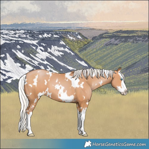 Horse Color:White Spotted Silver Bay Pearl Splash 