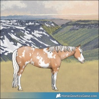 Horse Color:White Spotted Silver Bay Pearl Splash