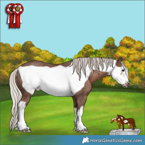 Horse Color:White Spotted Silver Black Frame Rabicano 