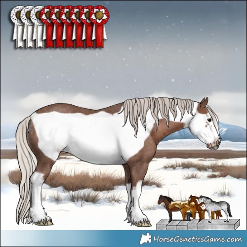 Horse Color:White Spotted Silver Black Frame Rabicano 