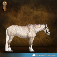 Horse Color:Gray Silver Grullo Pearl Appaloosa Rabicano Brindle