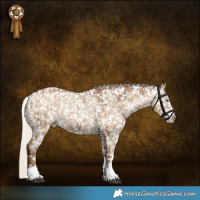 Horse Color:Gray Silver Grullo Pearl Appaloosa Rabicano Brindle 