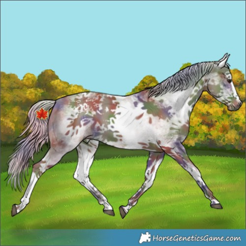 Horse Color:Nacre White Spotted Silver Smoky Black Splash 