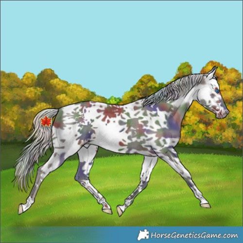 Horse Color:Nacre Silver Smoky Black Splash Tobiano Frame 