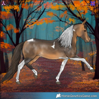 Horse Color:Buckskin Tobiano 