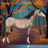Horse Color:Bay Dun