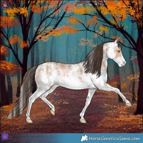 Horse Color:White Spotted Amber Champagne 