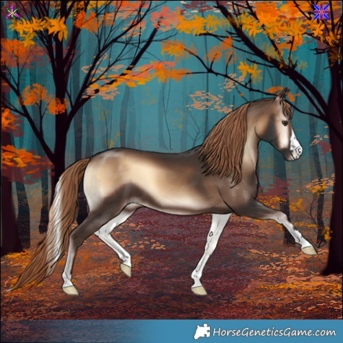 Horse Color:Liver Red Onyx