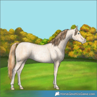 Horse Color:Buckskin Roan Pearl and Buckskin Roan Pearl