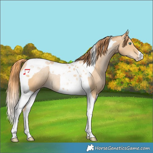 Horse Color:Smoky Black Pearl Tobiano Varnish Rabicano 