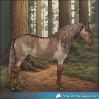 Horse Color:Liver Red Dun  and Liver Red Dun 