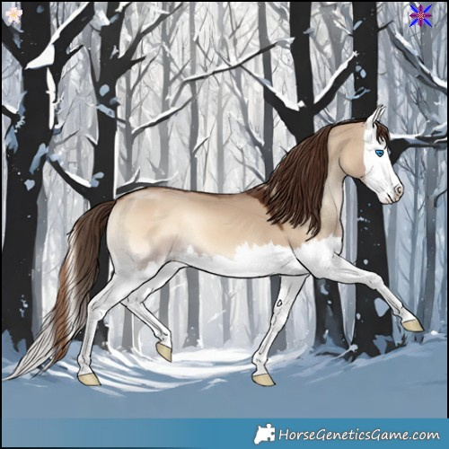 Horse Color:Red Dun Onyx Splash