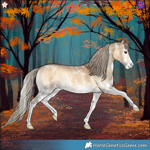 Horse Color:Chocolate Palomino Onyx Sabino 