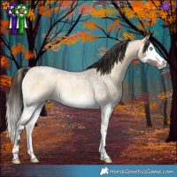 Horse Color:Buckskin Roan Onyx Splash 