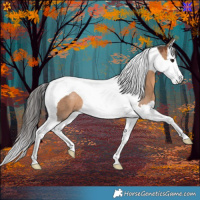 Horse Color:Brown Dun Splash Tobiano