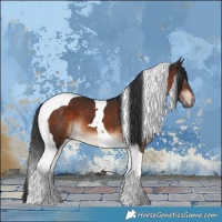 Horse Color:Brown Tobiano 