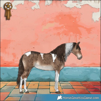 Horse Color:Liver Red Dun Tobiano Brindle