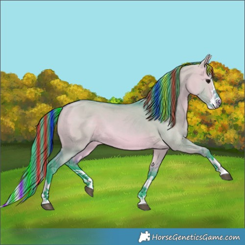 Horse Color:Painted Watercolor Bay Dun Splash 