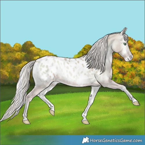 Horse Color:Watercolor Palomino Pearl Onyx Blanket 