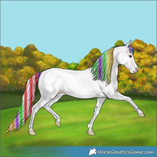 Horse Color:Painted Watercolor White Spotted Palomino Dun Blanket 