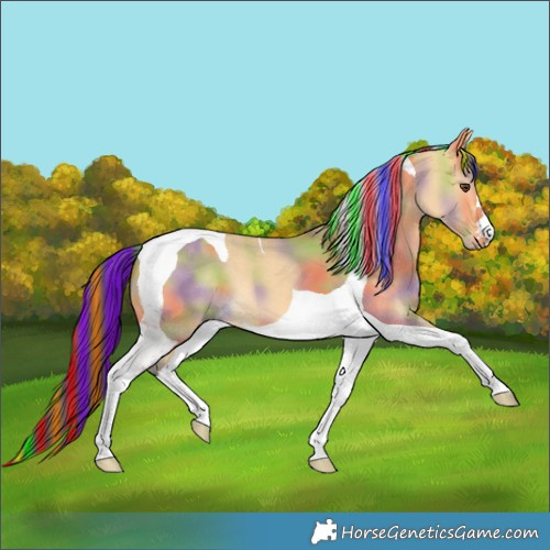 Horse Color:Painted Nacre Buckskin Dun Tobiano 