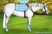 Horse Color:Silver Amber Cream Champagne Dun Near Leopard